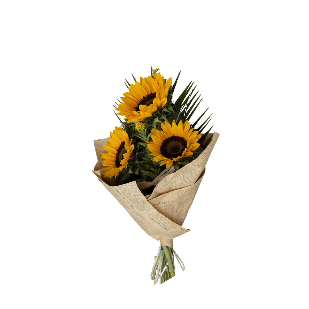 Sunflowers Bundle