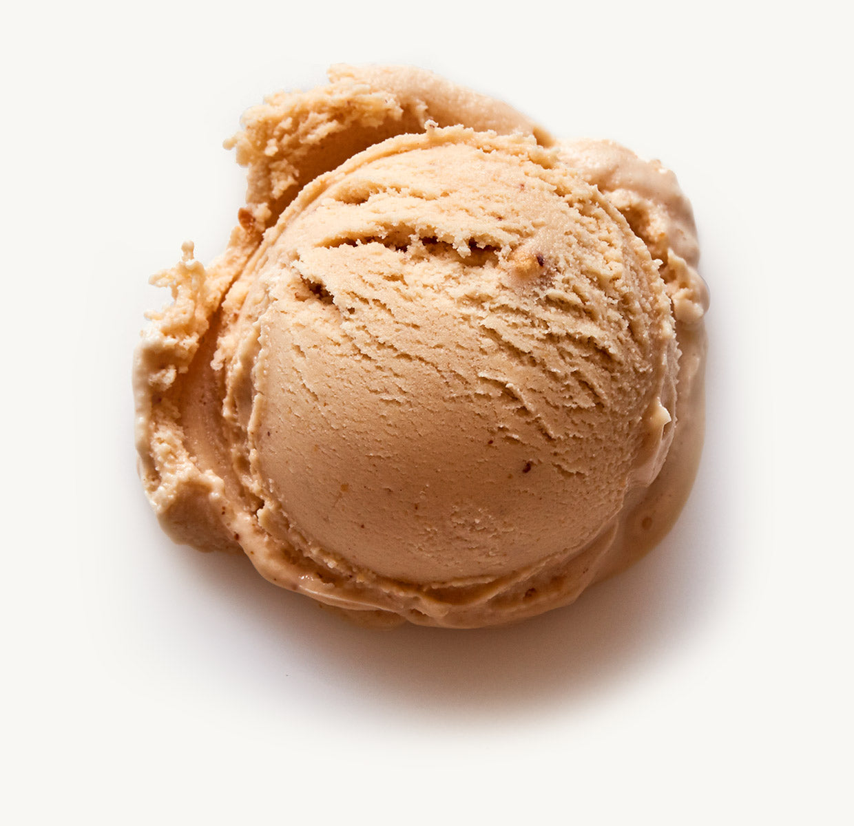 Nancys Fancy Salted Peanut Butter Vegan - One Pint